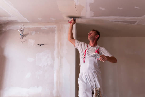 Professional Dry wall and painting in Hudson Lake, IN